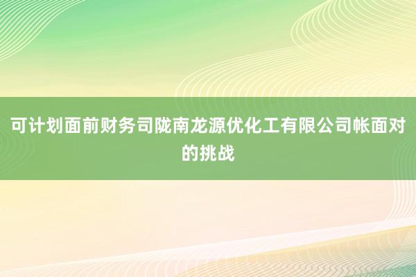 可计划面前财务司陇南龙源优化工有限公司帐面对的挑战